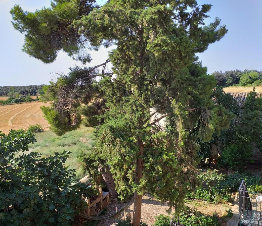 Casa Rural Boletas Loporzano ภายนอก รูปภาพ